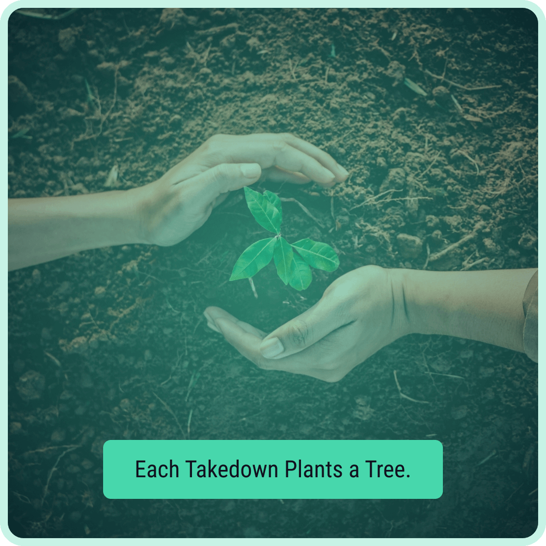Each Takedown Plants a Tree.